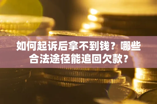 武汉如何起诉后拿不到钱？哪些合法途径能追回欠款？
