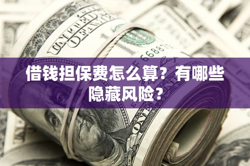 武汉借钱担保费怎么算？有哪些隐藏风险？