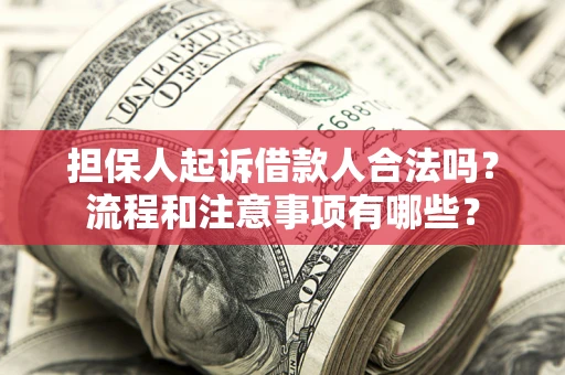 武汉担保人起诉借款人合法吗？流程和注意事项有哪些？