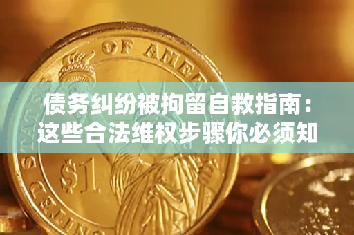 武汉债务纠纷被拘留自救指南：这些合法维权步骤你必须知道！