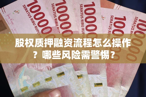 武汉股权质押融资流程怎么操作？哪些风险需警惕？