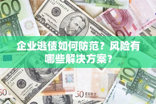 武汉企业逃债如何防范？风险有哪些解决方案？