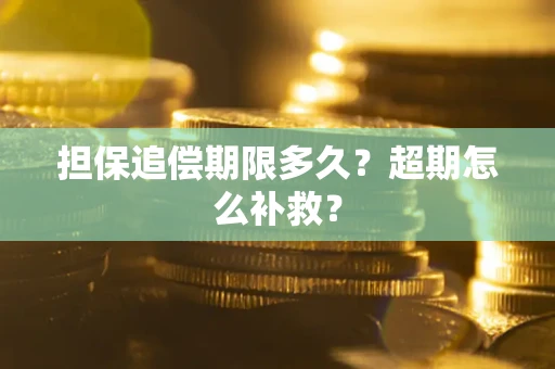 武汉担保追偿期限多久？超期怎么补救？