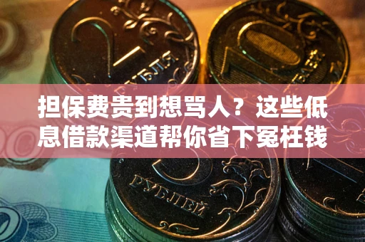 武汉担保费贵到想骂人？这些低息借款渠道帮你省下冤枉钱