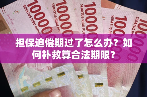 武汉担保追偿期过了怎么办？如何补救算合法期限？