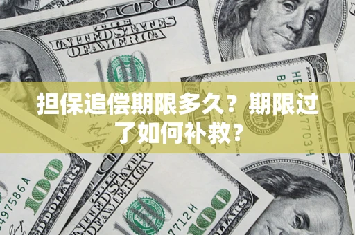 武汉担保追偿期限多久？期限过了如何补救？