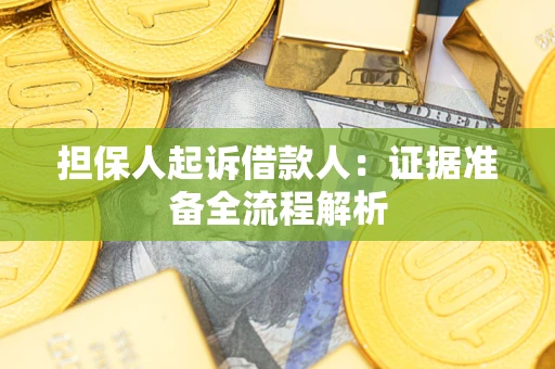 武汉担保人起诉借款人：证据准备全流程解析