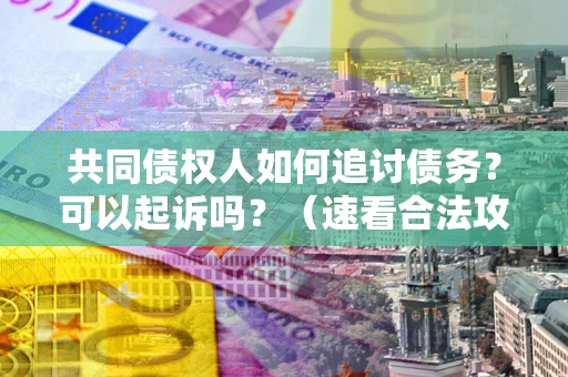 武汉共同债权人如何追讨债务？可以起诉吗？（速看合法攻略）