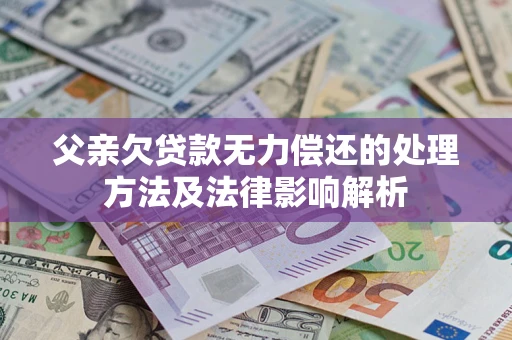武汉父亲欠贷款无力偿还的处理方法及法律影响解析