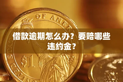 武汉借款逾期怎么办？要赔哪些违约金？