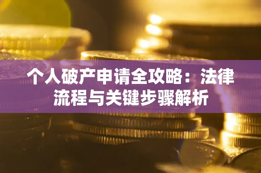 武汉个人破产申请全攻略：法律流程与关键步骤解析