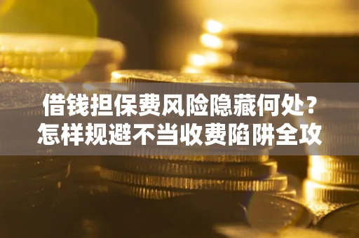 武汉借钱担保费风险隐藏何处？怎样规避不当收费陷阱全攻略！